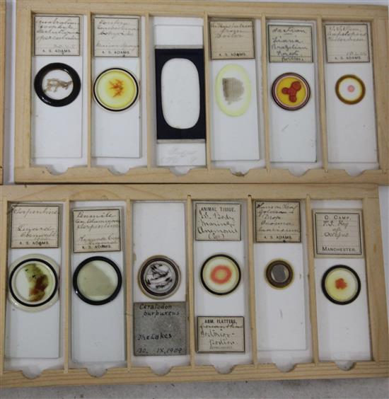 Two cases of late 19th/early 20th century microscope slides,